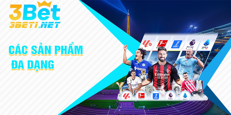 Các Sản Phẩm Đa Dạng