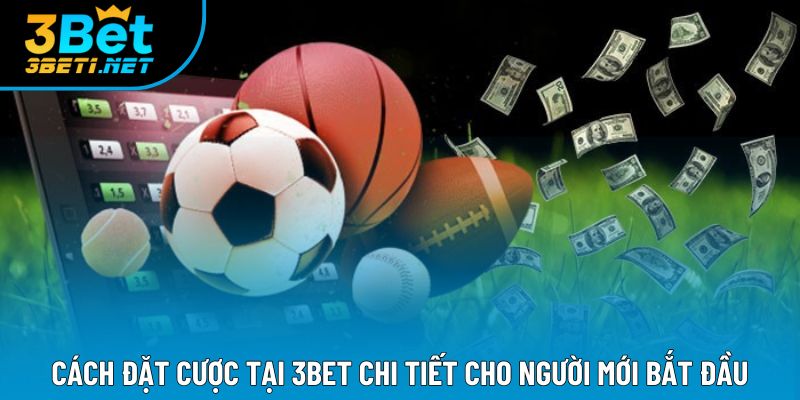 Cách Đặt Cược Tại 3bet Chi Tiết Cho Người Mới Bắt Đầu
