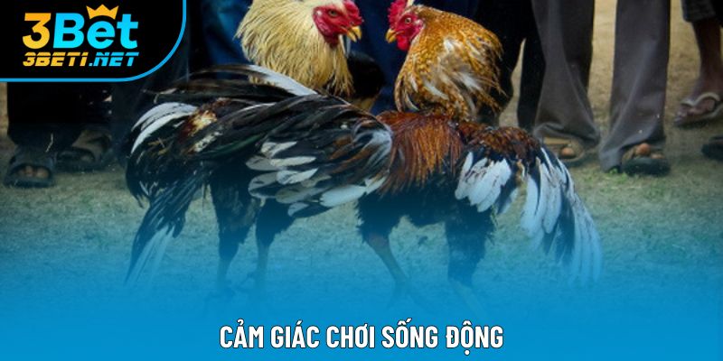 Cảm giác chơi sống động