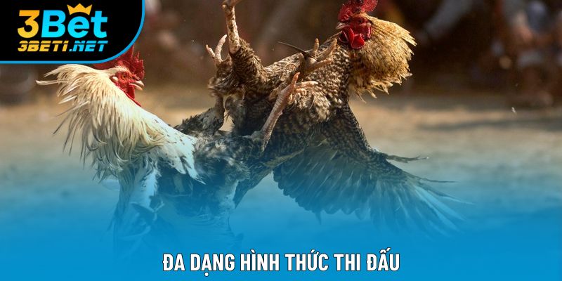 Đa dạng hình thức thi đấu