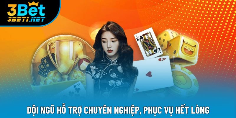 Đội ngũ hỗ trợ chuyên nghiệp, phục vụ hết lòng