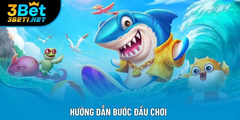 Hướng dẫn bước đầu chơi