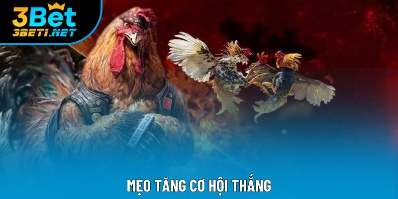Mẹo tăng cơ hội thắng